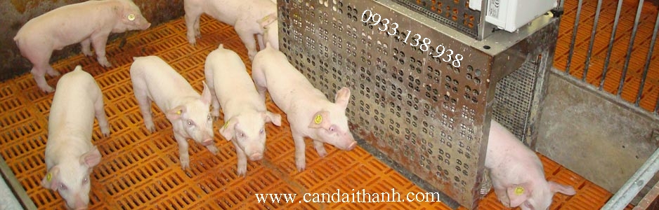 Cân phân tích PA 214 Ohaus 