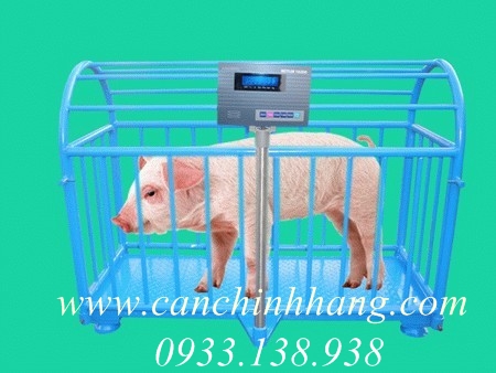Cân phân tích PA 214 Ohaus 