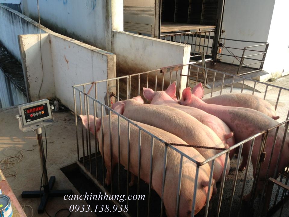 Cân phân tích PA 214 Ohaus 