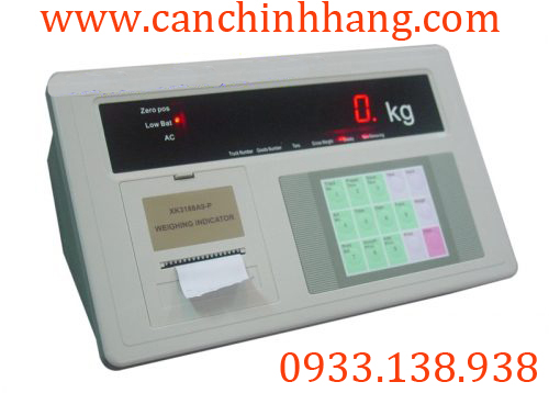 Cân phân tích PA 214 Ohaus 